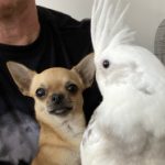 Photo de Profil de Lolo